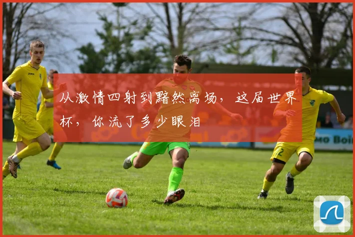 从激情四射到黯然离场，这届世界杯，你流了多少眼泪